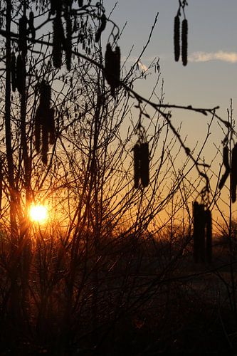 Zonsopkomst in de winter