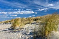Wind aan zee