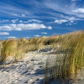 Wind aan zee van Ellinor Creation