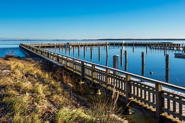 Hafen auf dem Fischland-Darß in Dierhagen