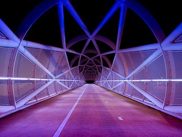 Netkous Bridge, A15, Rotterdam, Netherlands von Art By Dominic
