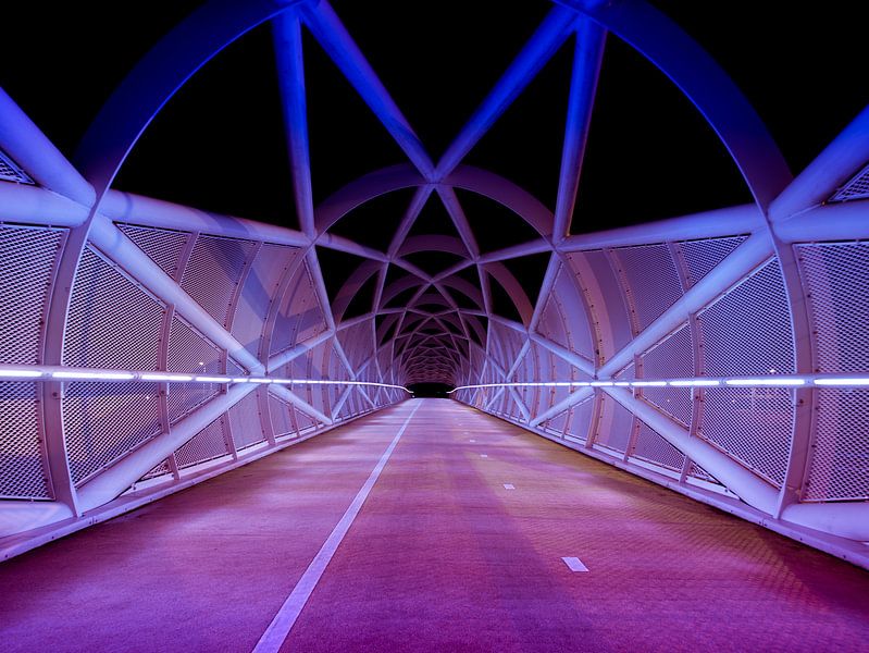 Netkous Bridge, A15, Rotterdam, Netherlands par Art By Dominic