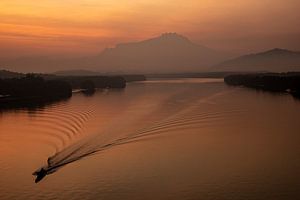 Serenade in der Morgendämmerung - Mount Kinabalu