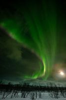 Noorderlicht boven Kilpisjärvi, Finland