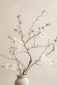 Photographie minimaliste de nature morte dans le style Japandi