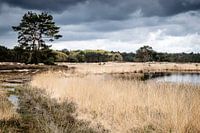 Regenwolken boven het Langven
