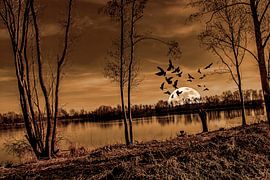 DE - Baden-Württemberg : Seelandschaft von Photoart-Naegele