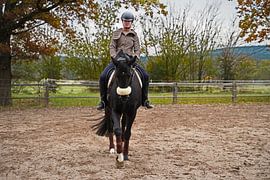 Training with the Bayer black horse Baveria on a riding arena in autumn