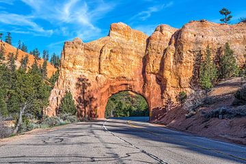 Arche du Canyon Rouge sur Joseph S Giacalone Photography