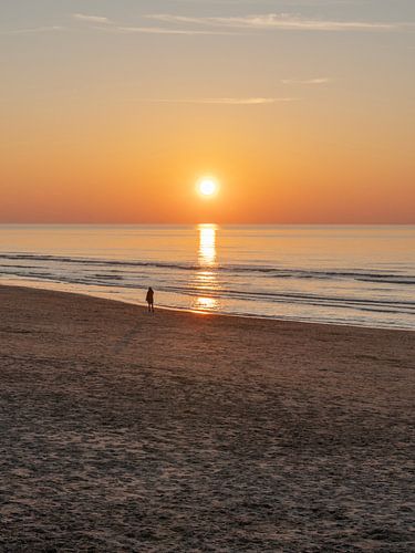 Gouden Sereniteit uit Wijk aan Zee van Dagmar Pels