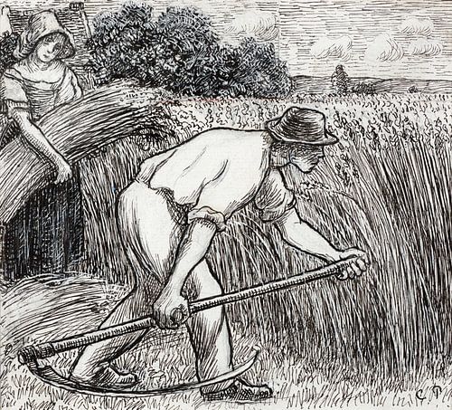 Camille Pissarro – Die Ernte (um 1895)