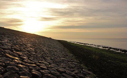 Texel Zeezicht 034