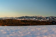 Sonnenuntergang über den Ostallgäuer Alpen von Leo Schindzielorz Miniaturansicht