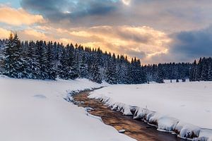 Winter im Schwarzwassertal