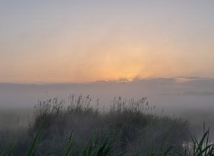 Landschaft Teil 4
