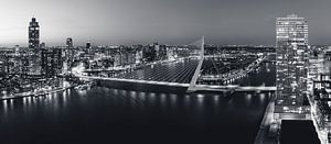 Rotterdam skyline nighttime panorama view