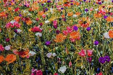 Verschiedene bunte Blumen