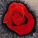 spetterende rode roos van Ria van Meijeren thumbnail
