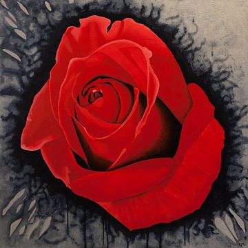 spetterende rode roos van Ria van Meijeren