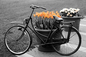 Fiets tegen bloembakken met tulpen in Amsterdam