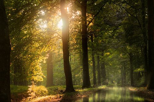 It's All in the Game