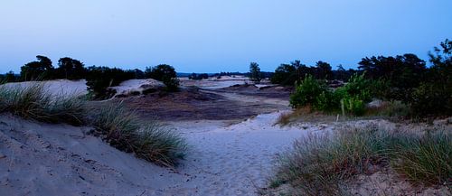 Blue Hour Kootwijkerzand, Kootwijk The Netherlands