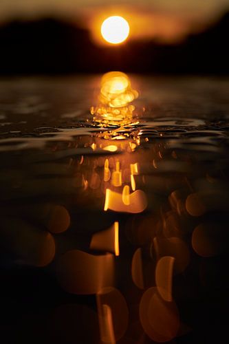 Gouden regendruppels