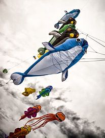 Drachenfest Fehmarn by Dirk Bartschat