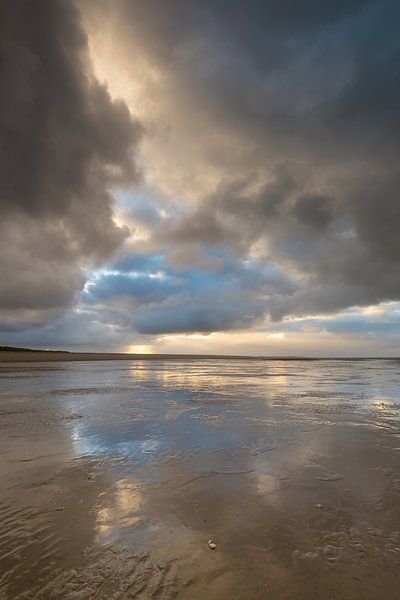Maasvlakte 8 par Deshamer