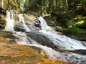 Riesloch Watervallen bij Bodenmais, Beieren 6 van Jörg Hausmann thumbnail