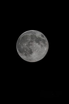 Moonlight in silence by Fotograaf Kevin Nugter