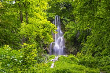 Uracher Wasserfall von Walter G. Allgöwer