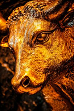 Gouden stier - close-up van Poster Art Shop