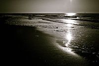Haamstede 3