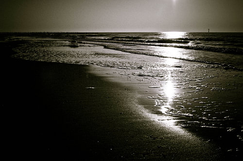 Haamstede 3