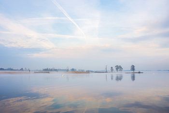 Ochtendstilte aan de Beltwerijde