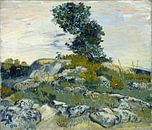 De Stenen, Vincent van Gogh van Meesterlijcke Meesters thumbnail