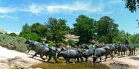 Dallas Pioneer Plaza Cattle Drive Monument van Roel Ovinge thumbnail