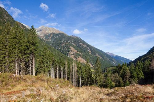 Stubai Valley near Ranalt