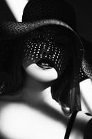 Shadowed Elegance