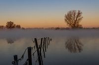 Brume sur la Meuse