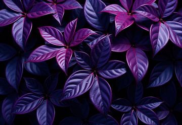 Plantes à feuilles violettes Gros plan sur Markus Gann