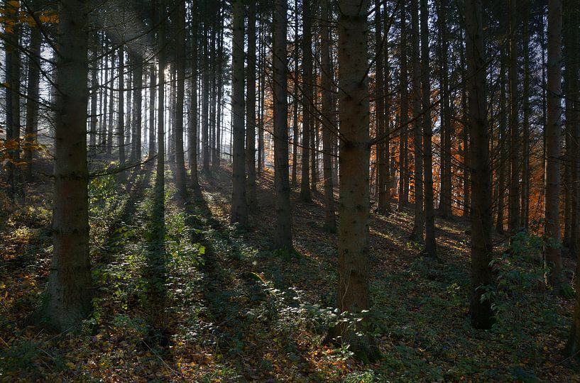 Lighting by Dieter Beselt