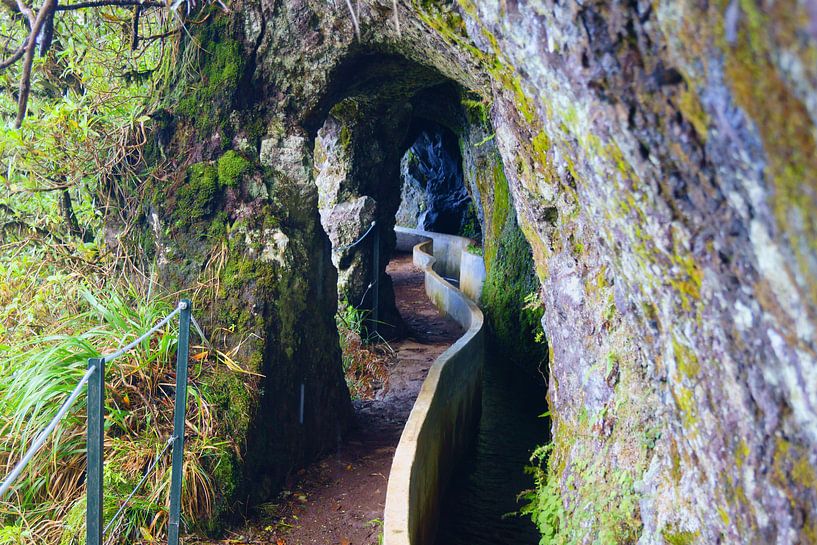 Levada do Furado, Madeira van Michel van Kooten