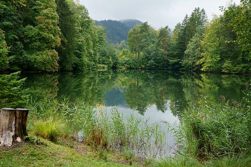 Waldsee im Herbst