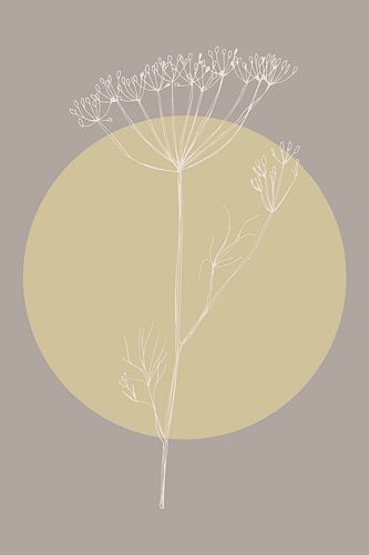 Japandi. Boho botanische dillebloem in goud en taupe nr. 1