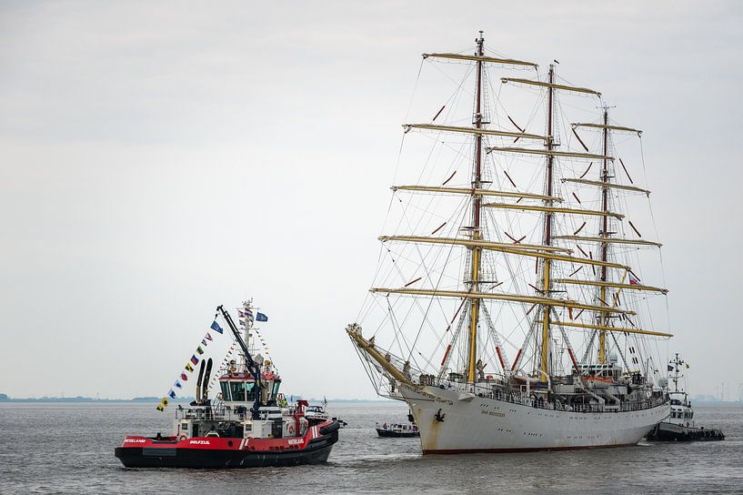 Dar Mlodziezy und Waterland DelfSail 2024 von Jan Georg Meijer