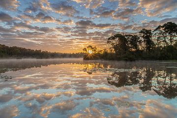 Zonsopkomst en ochtendnevel aan de Oisterwijkse Vennen van Original Mostert Photography