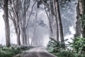 La route mystique