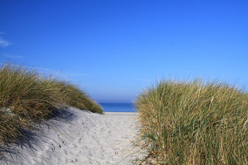 The dunes at the Baltic Sea by Karina Gebert